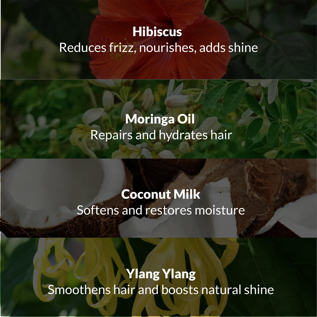 Anti Frizz Ritual OHRIA AYURVEDA