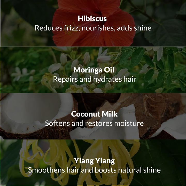 Anti Frizz Ritual OHRIA AYURVEDA