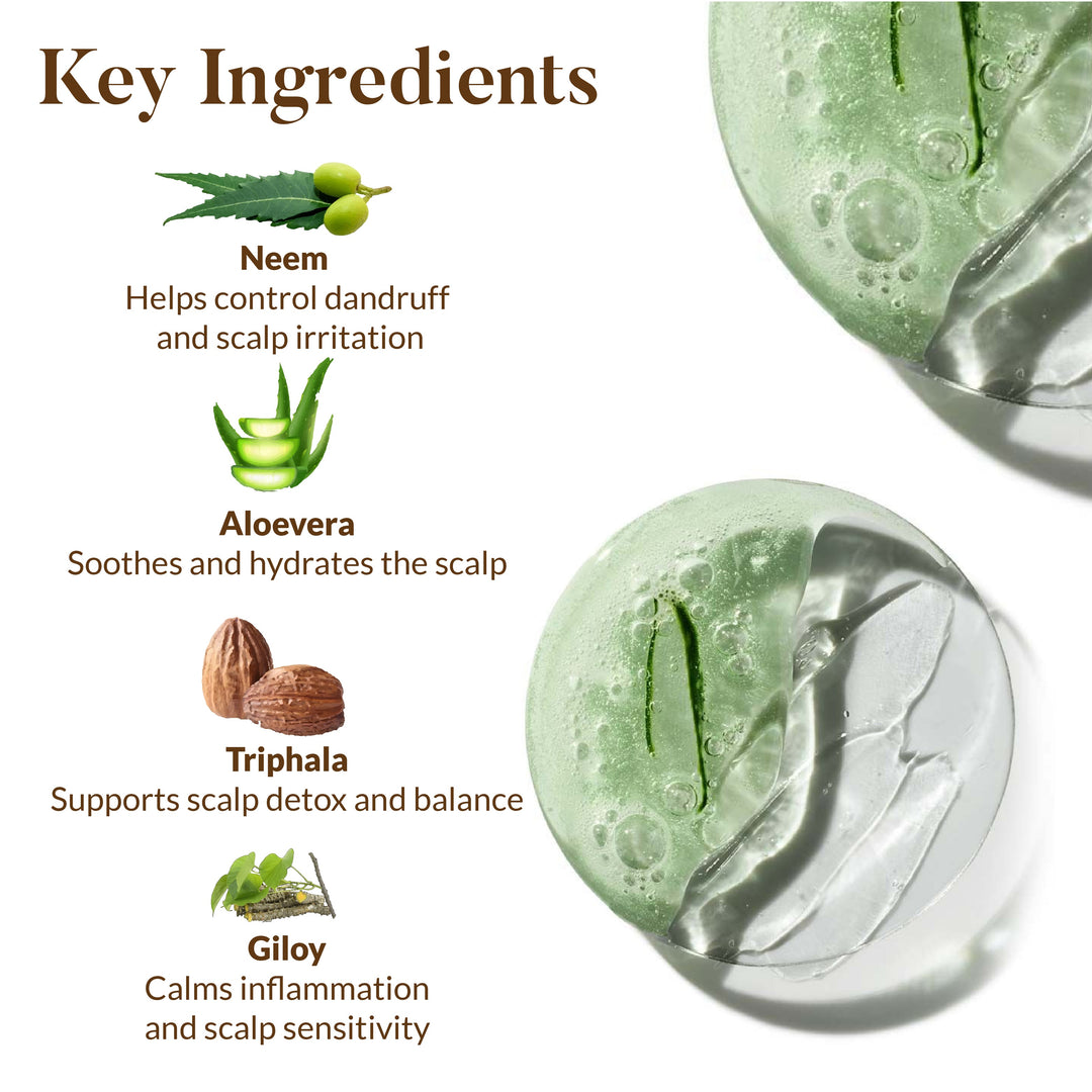 Oily & Itchy Scalp Combo OHRIA AYURVEDA