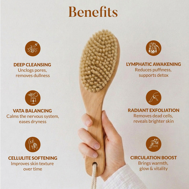 DRY BODY BRUSH OHRIA AYURVEDA