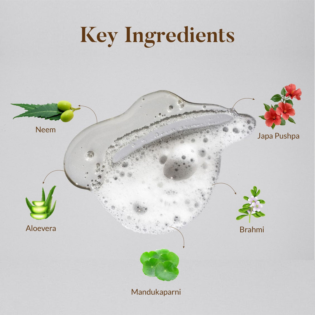 Ingredients of Japa Conditioner- Ayurvedic Hair Conditioner - Ohria Ayurveda