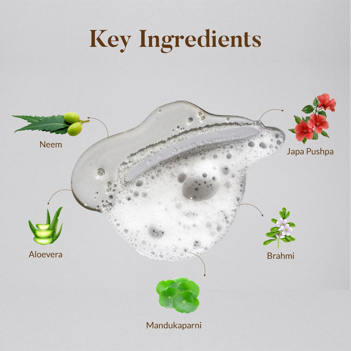 Ingredients of Japa Conditioner- Ayurvedic Hair Conditioner - Ohria Ayurveda