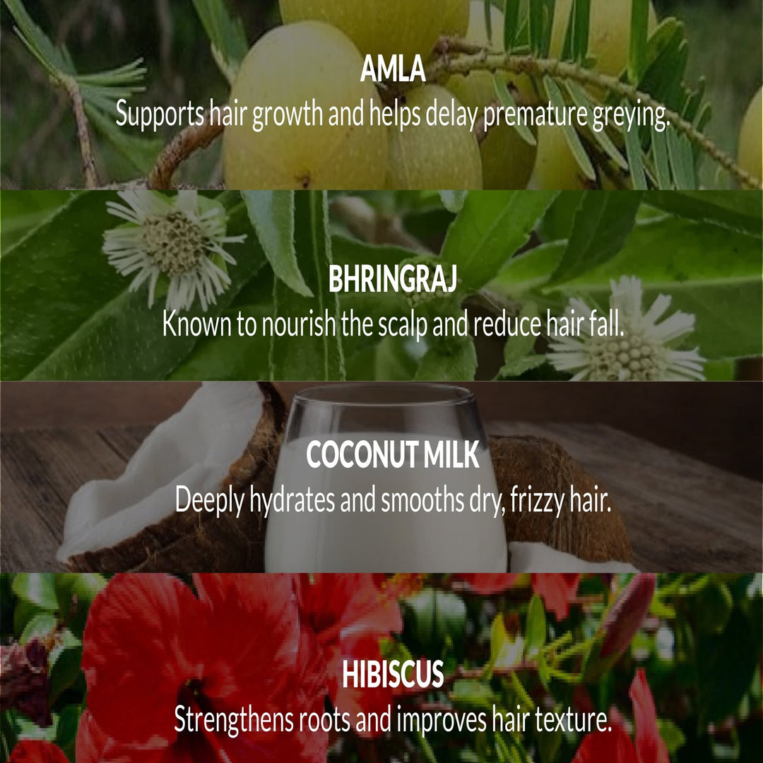 JAPA HAIR REPAIR RITUAL - OHRIA AYURVEDA