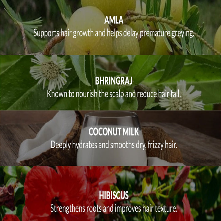 JAPA HAIR REPAIR RITUAL - OHRIA AYURVEDA