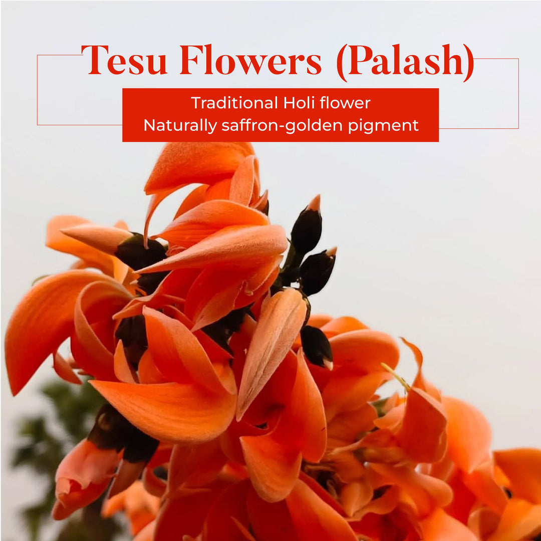 Haldi & Tesu Natural Holi Color OHRIA AYURVEDA