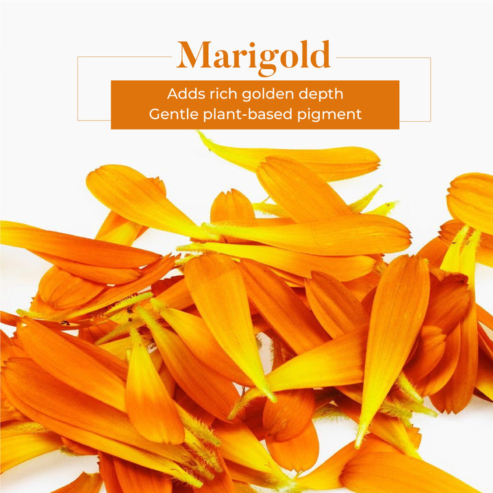 Haldi & Tesu Natural Holi Color OHRIA AYURVEDA